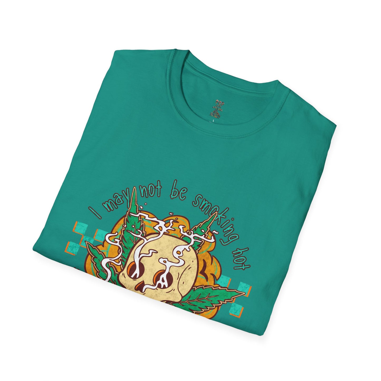 I May Not be Smokin' Hot Unisex Softstyle T-Shirt