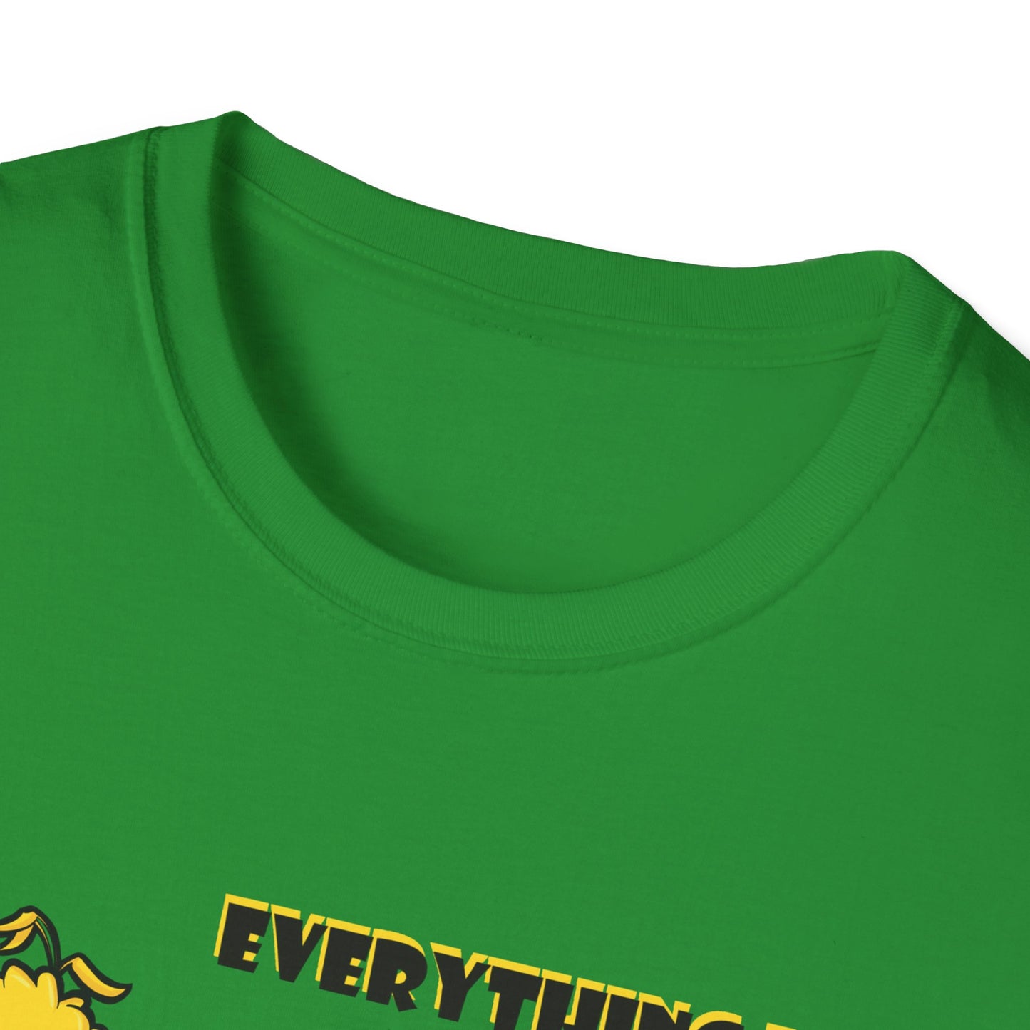 Everything I know I Learned From the Street Unisex Softstyle T-Shirt