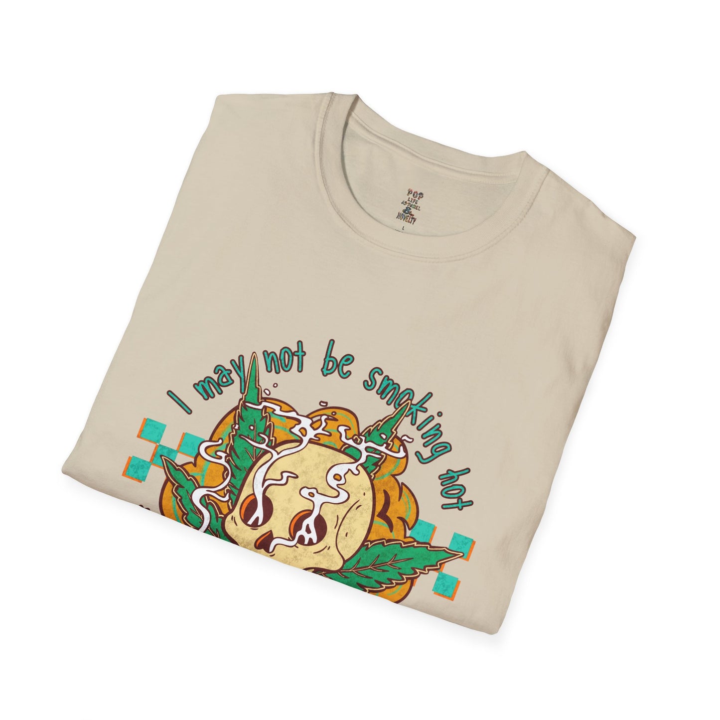I May Not be Smokin' Hot Unisex Softstyle T-Shirt