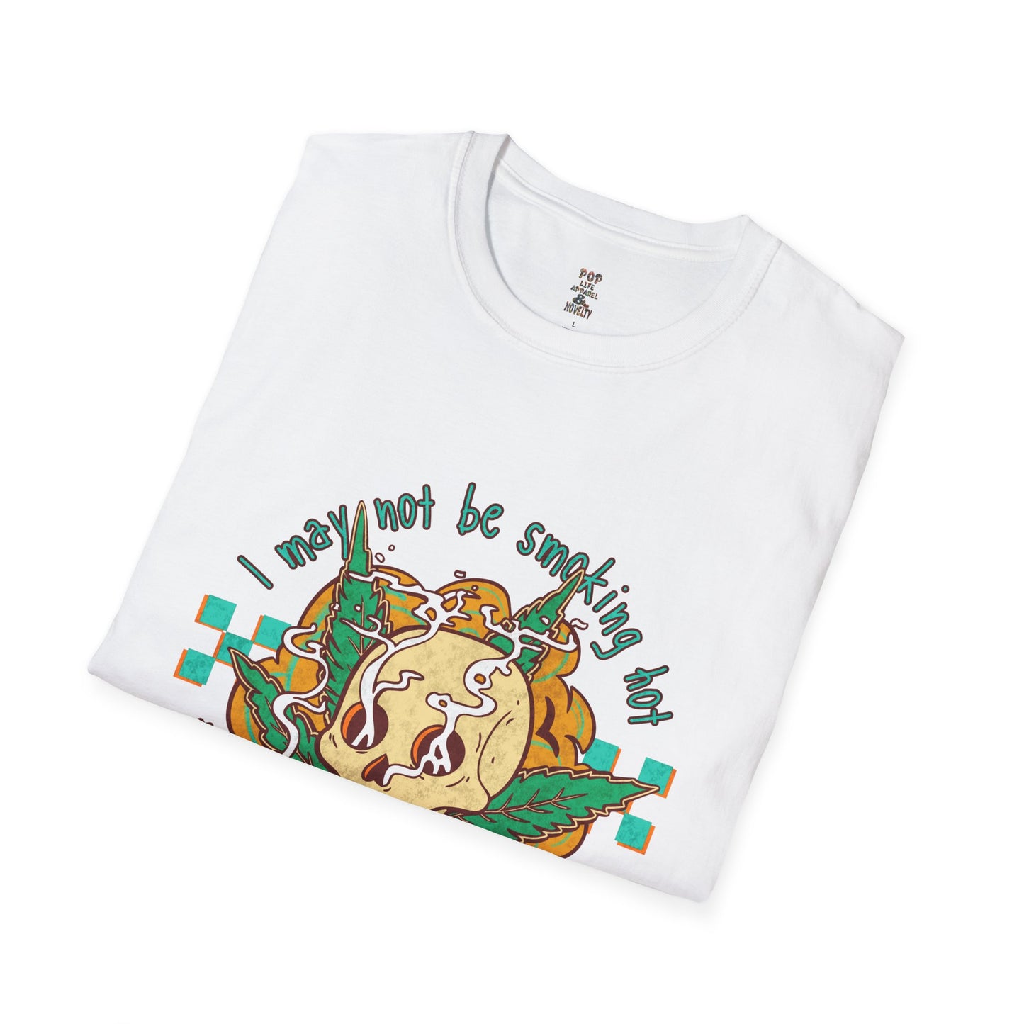 I May Not be Smokin' Hot Unisex Softstyle T-Shirt