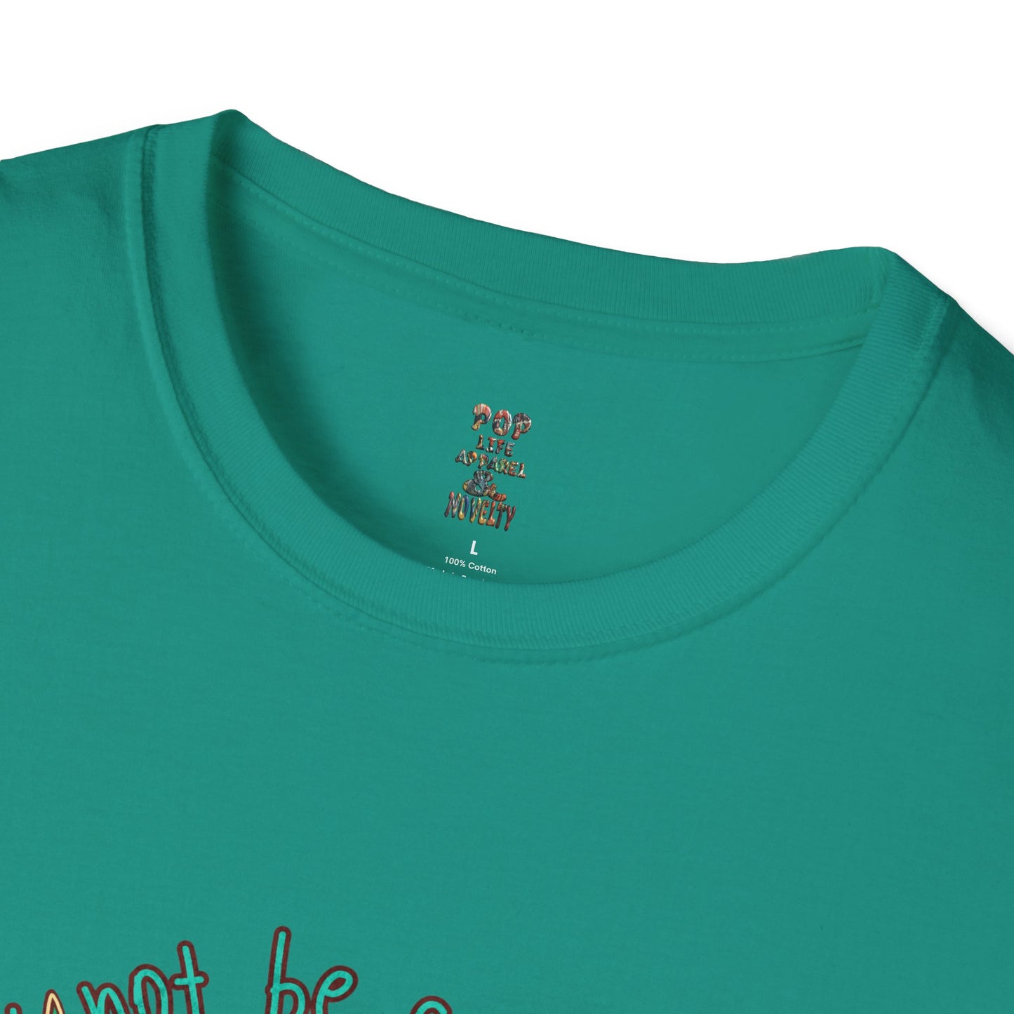 I May Not be Smokin' Hot Unisex Softstyle T-Shirt