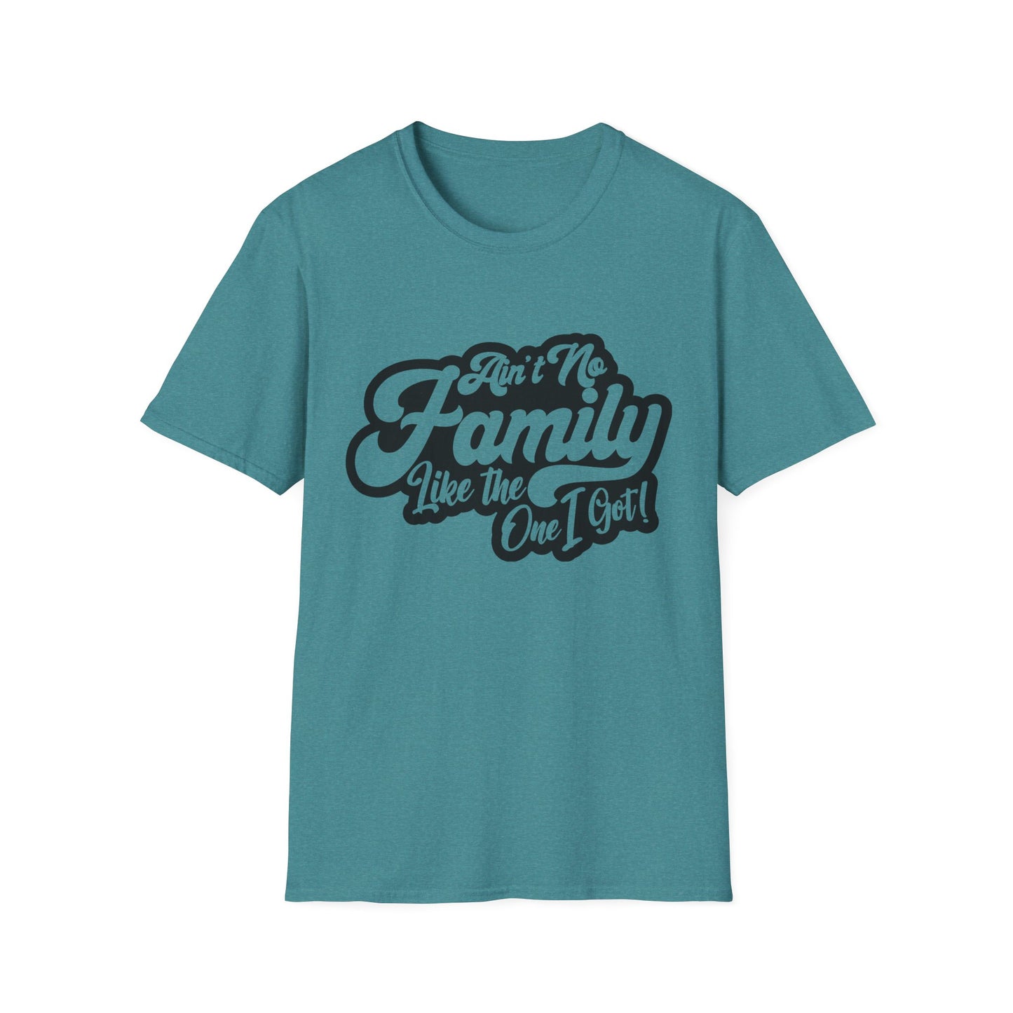 Ain't No Family Like the One I Got Softstyle T-Shirt