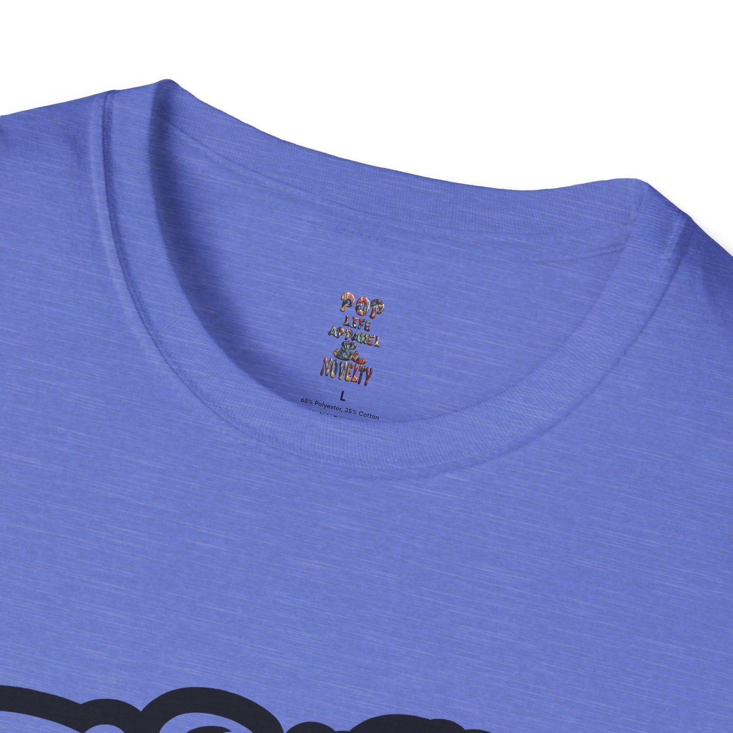 Ain't No Family Like the One I Got Softstyle T-Shirt