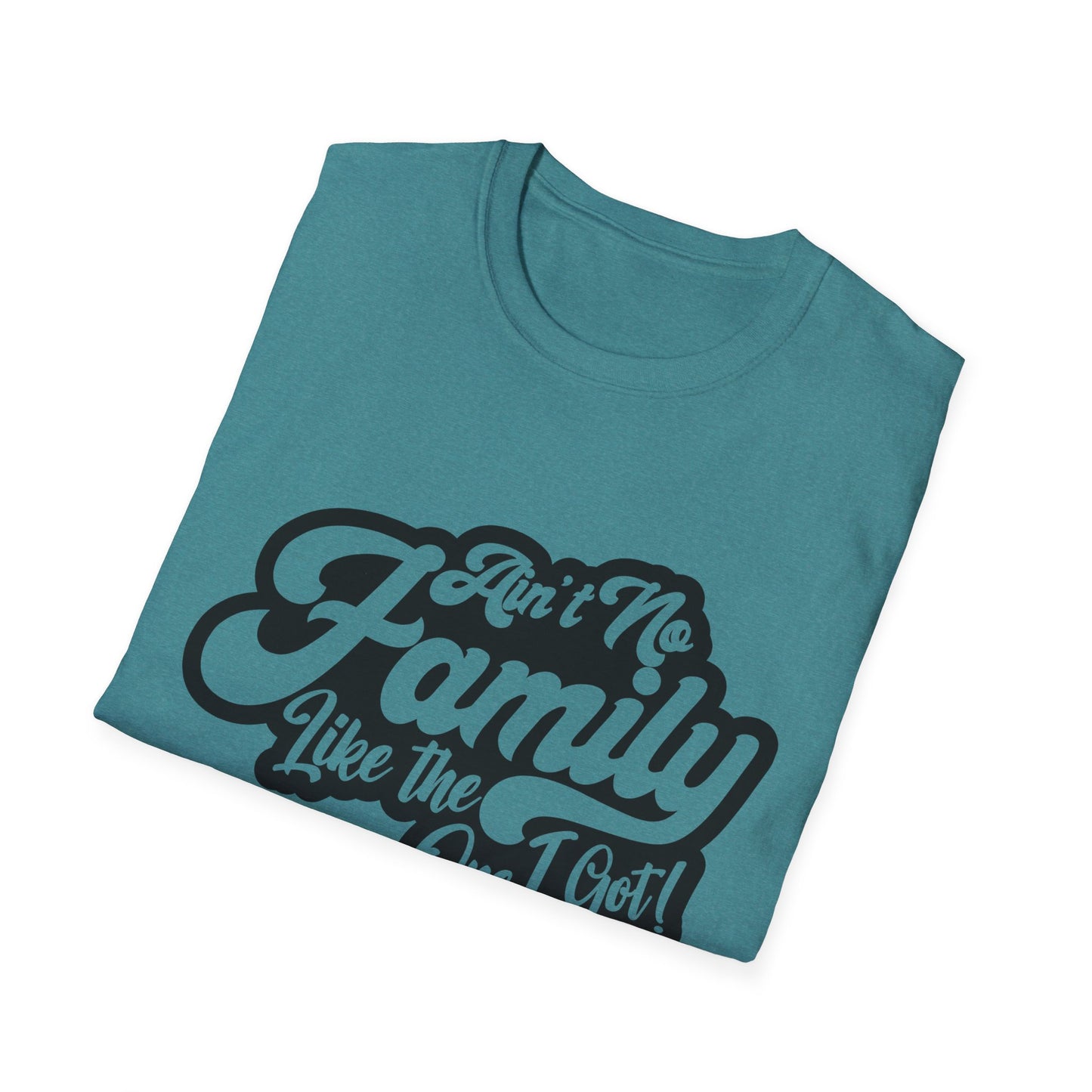 Ain't No Family Like the One I Got Softstyle T-Shirt