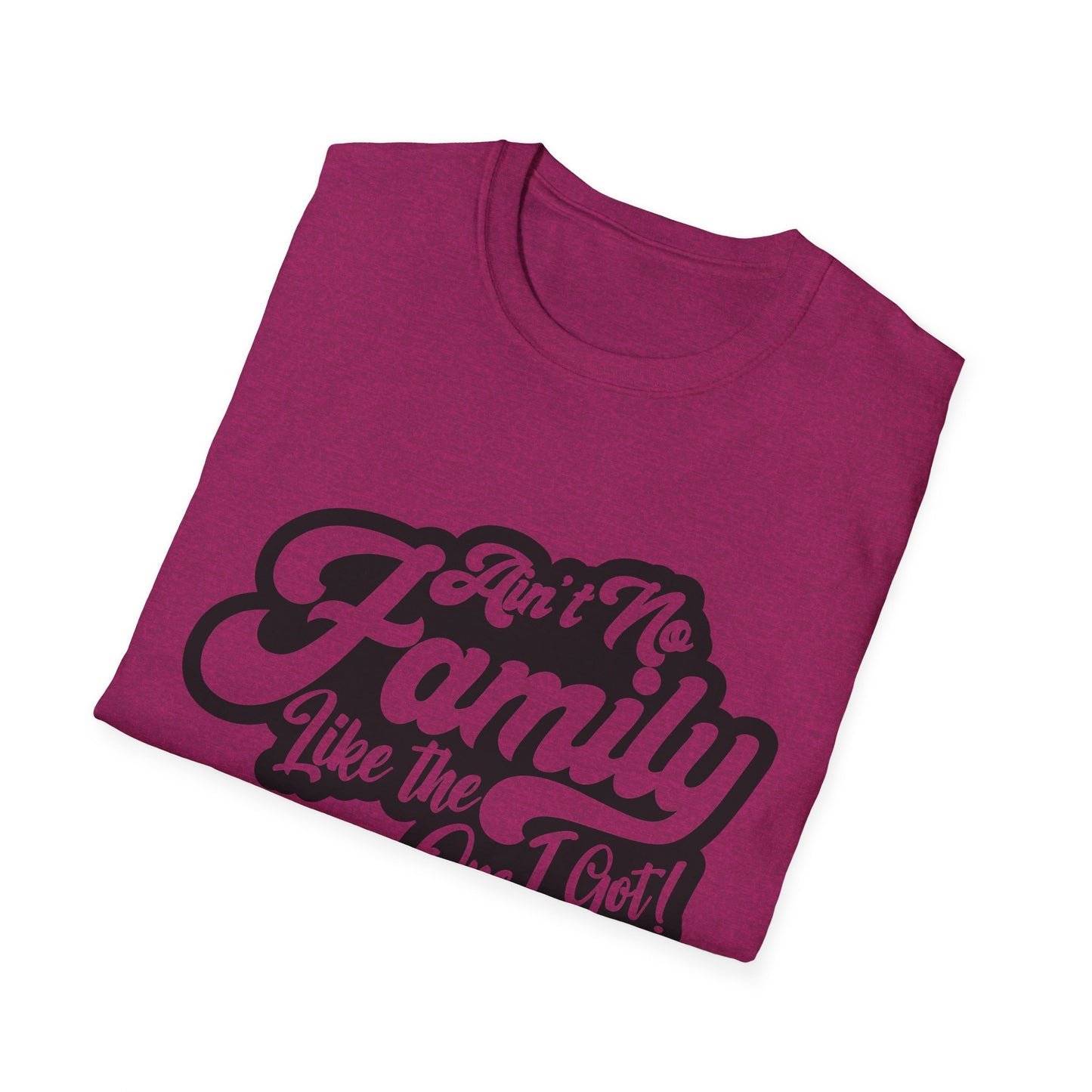 Ain't No Family Like the One I Got Softstyle T-Shirt