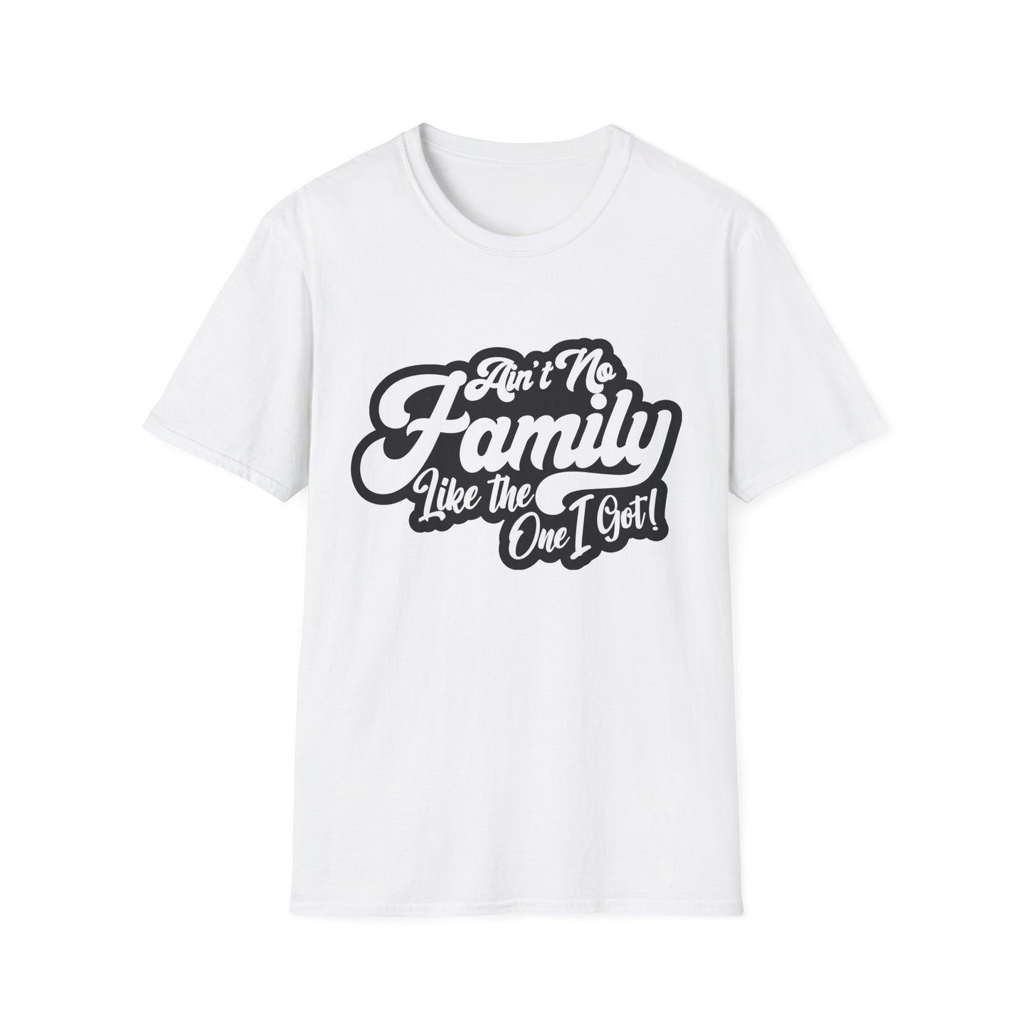 Ain't No Family Like the One I Got Softstyle T-Shirt