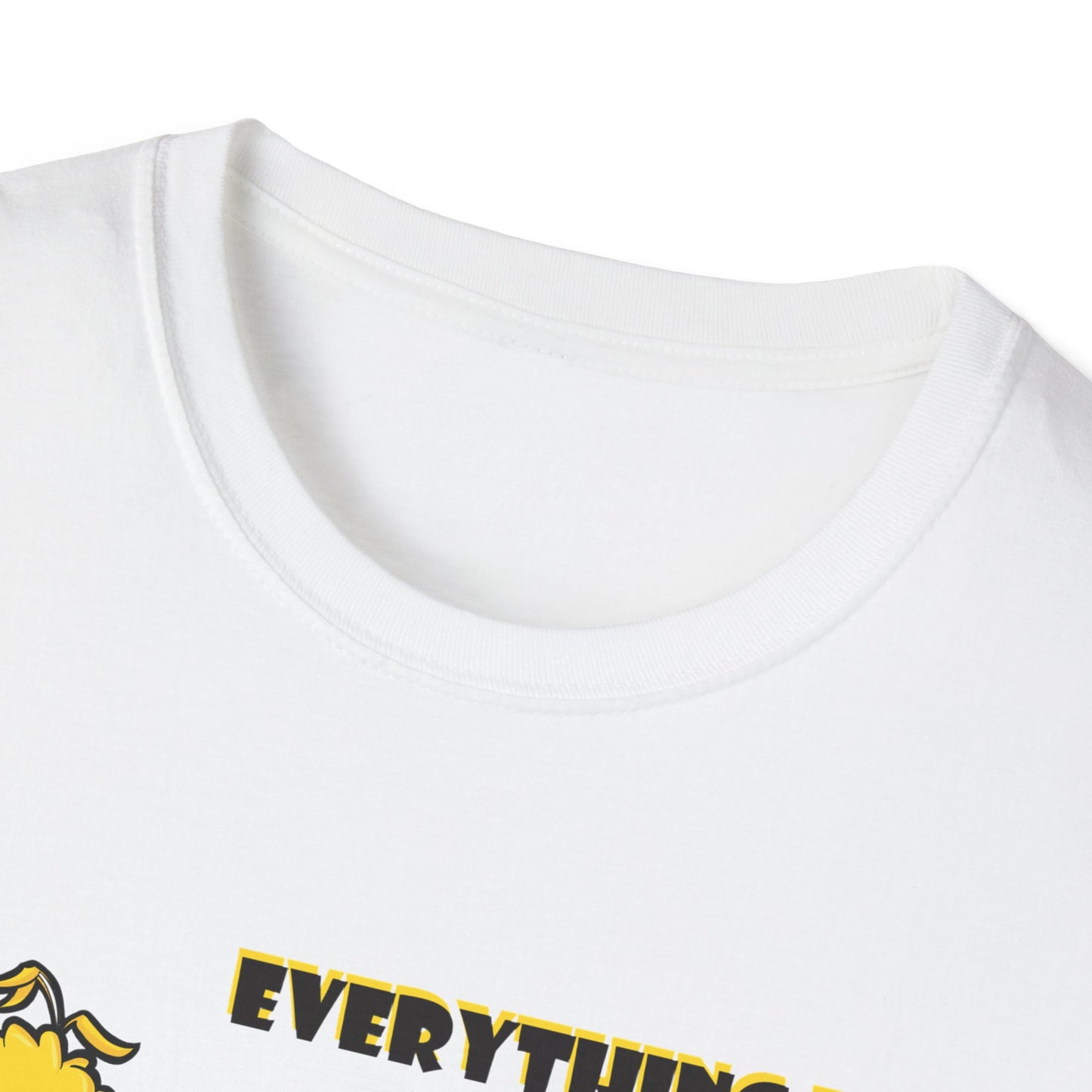 Everything I know I Learned From the Street Unisex Softstyle T-Shirt