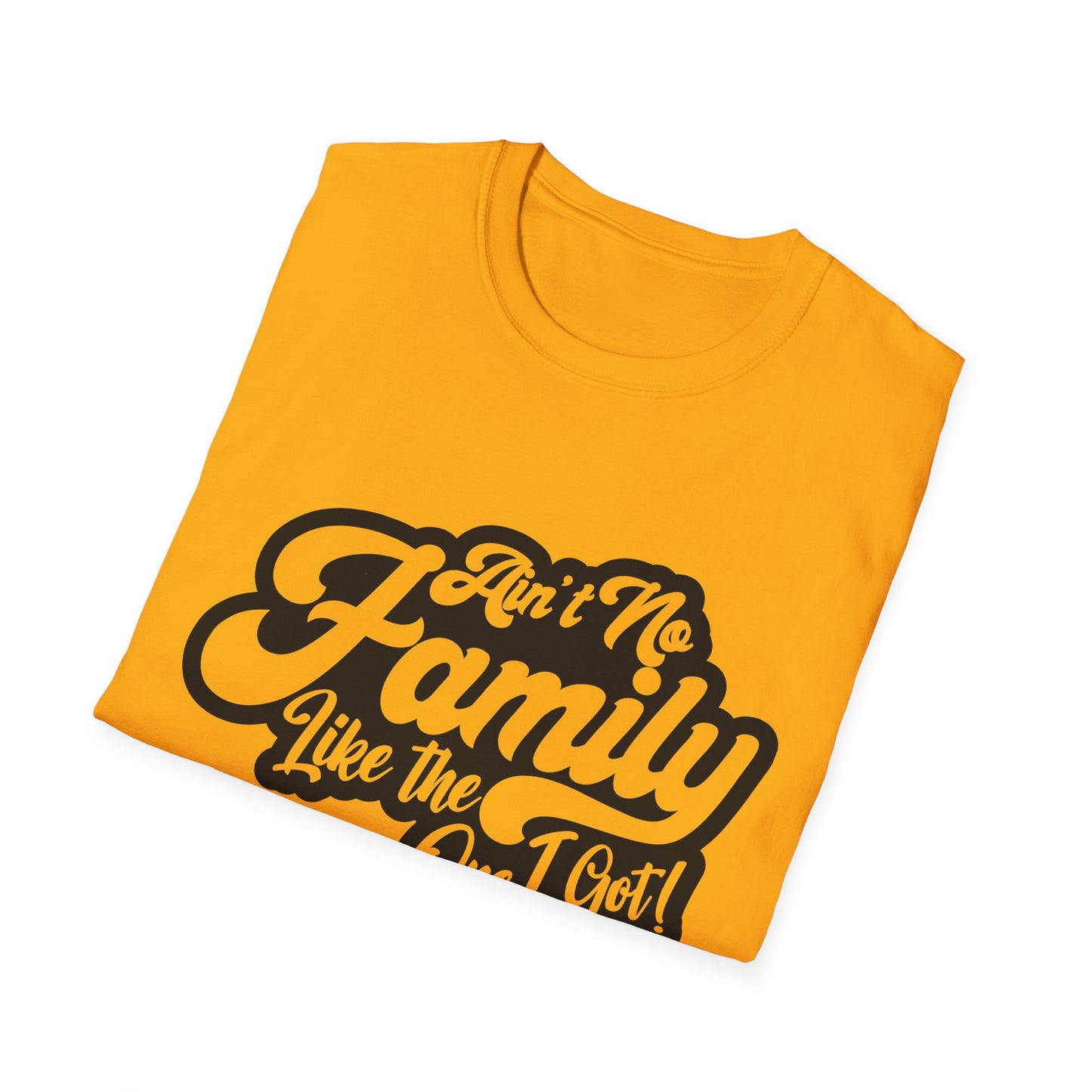 Ain't No Family Like the One I Got Softstyle T-Shirt