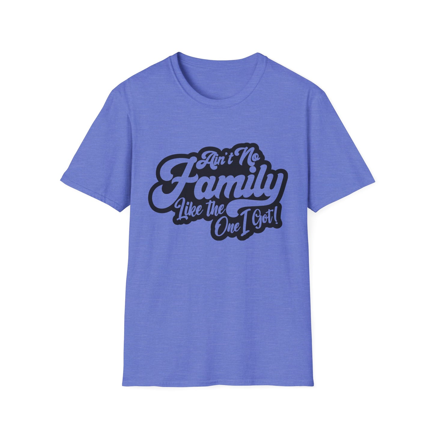 Ain't No Family Like the One I Got Softstyle T-Shirt