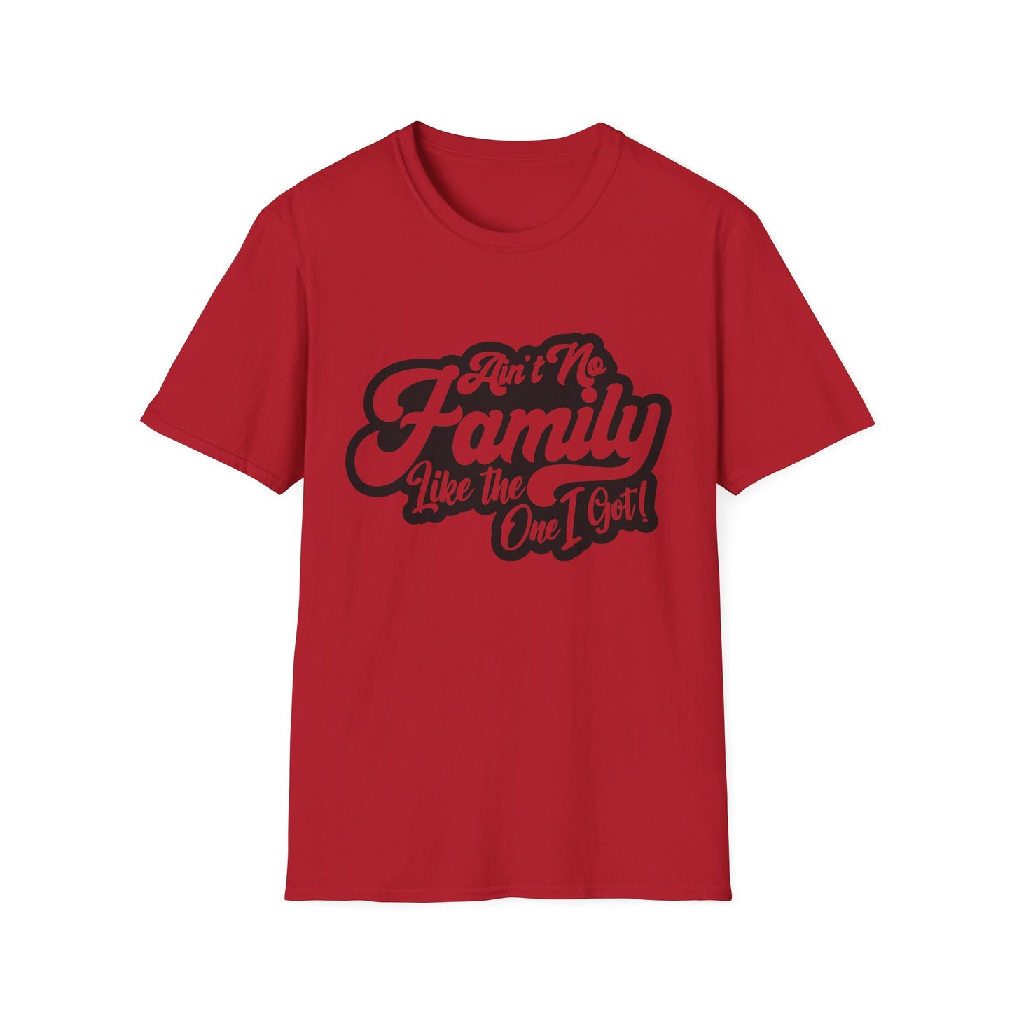 Ain't No Family Like the One I Got Softstyle T-Shirt