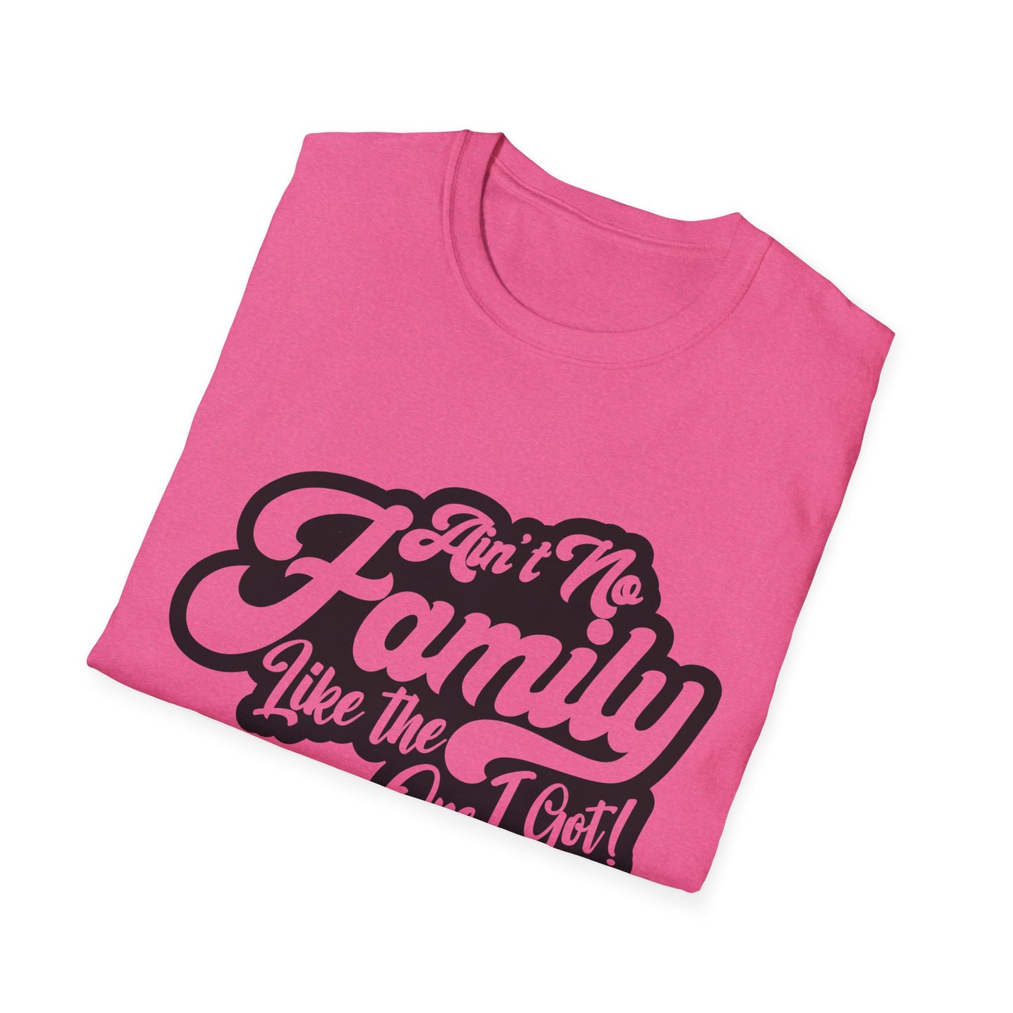 Ain't No Family Like the One I Got Softstyle T-Shirt