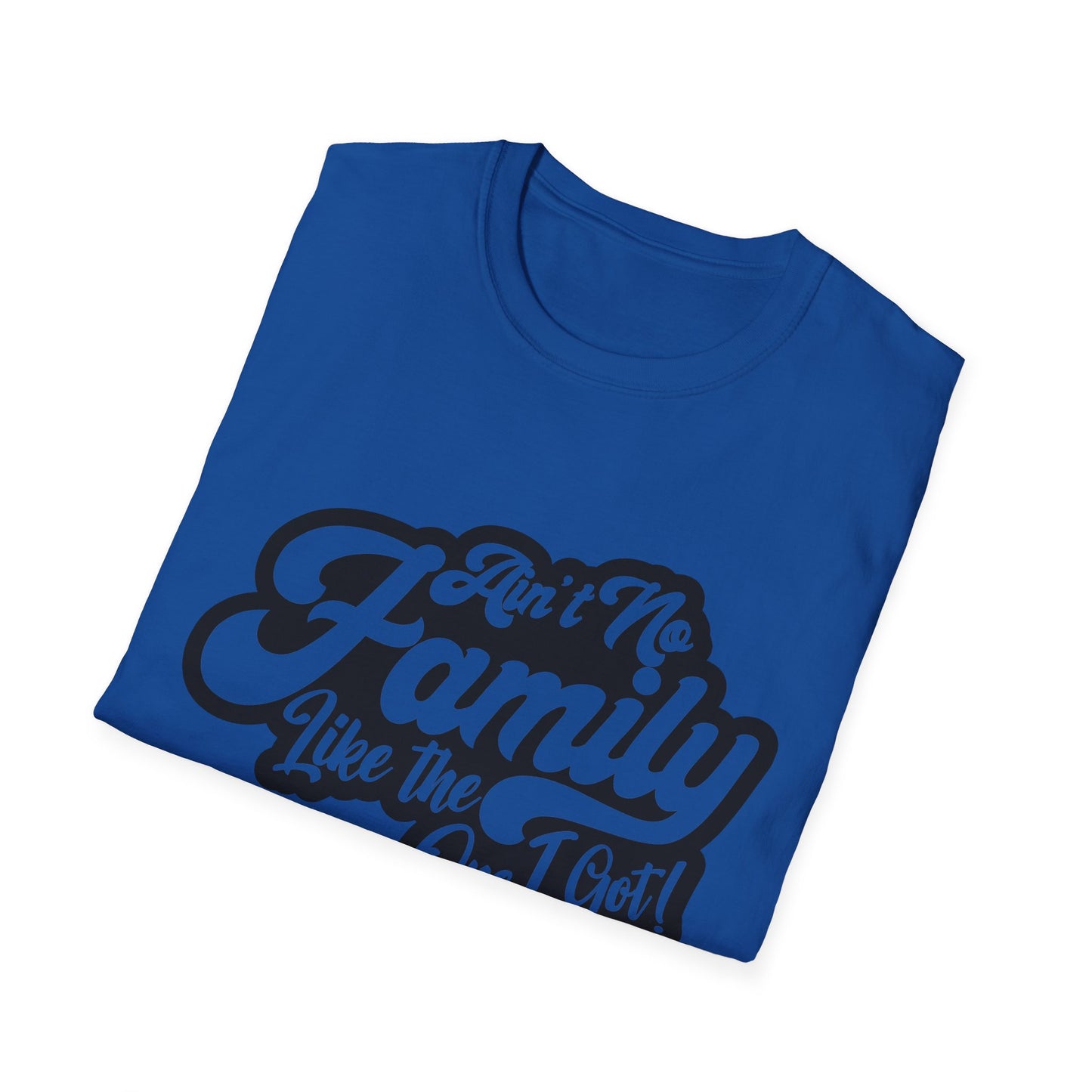 Ain't No Family Like the One I Got Softstyle T-Shirt