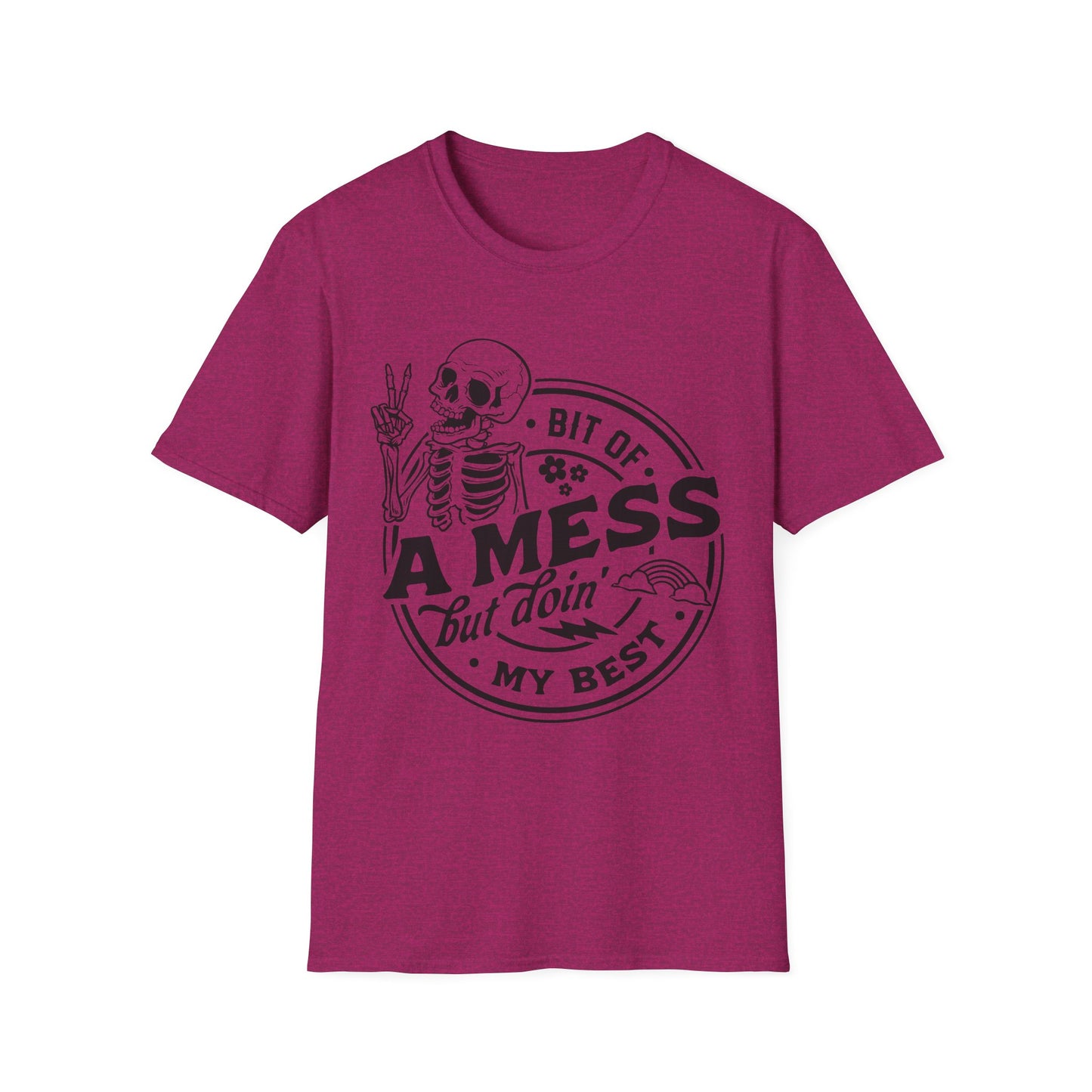 A Bit of a Mess Softstyle T-Shirt