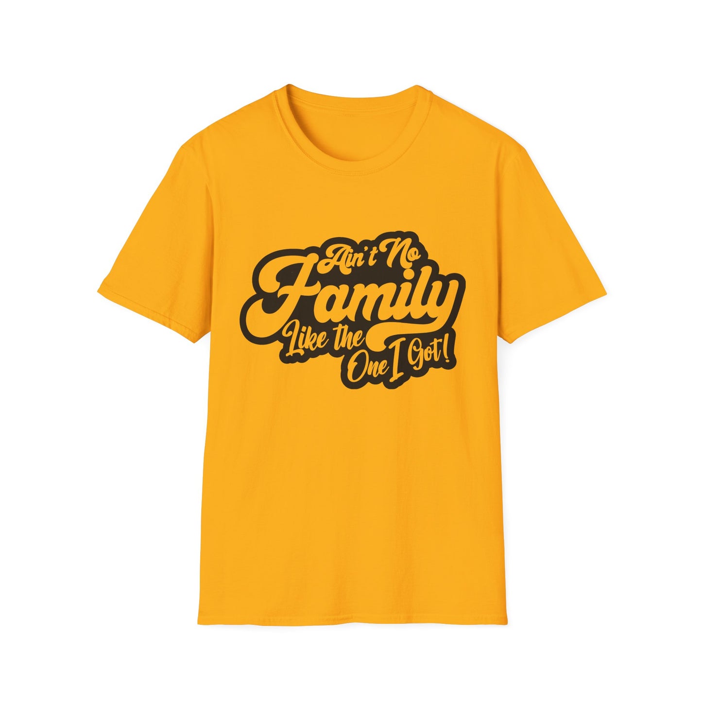 Ain't No Family Like the One I Got Softstyle T-Shirt