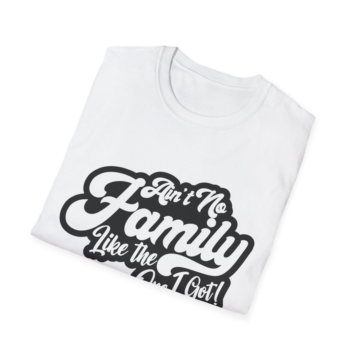 Ain't No Family Like the One I Got Softstyle T-Shirt