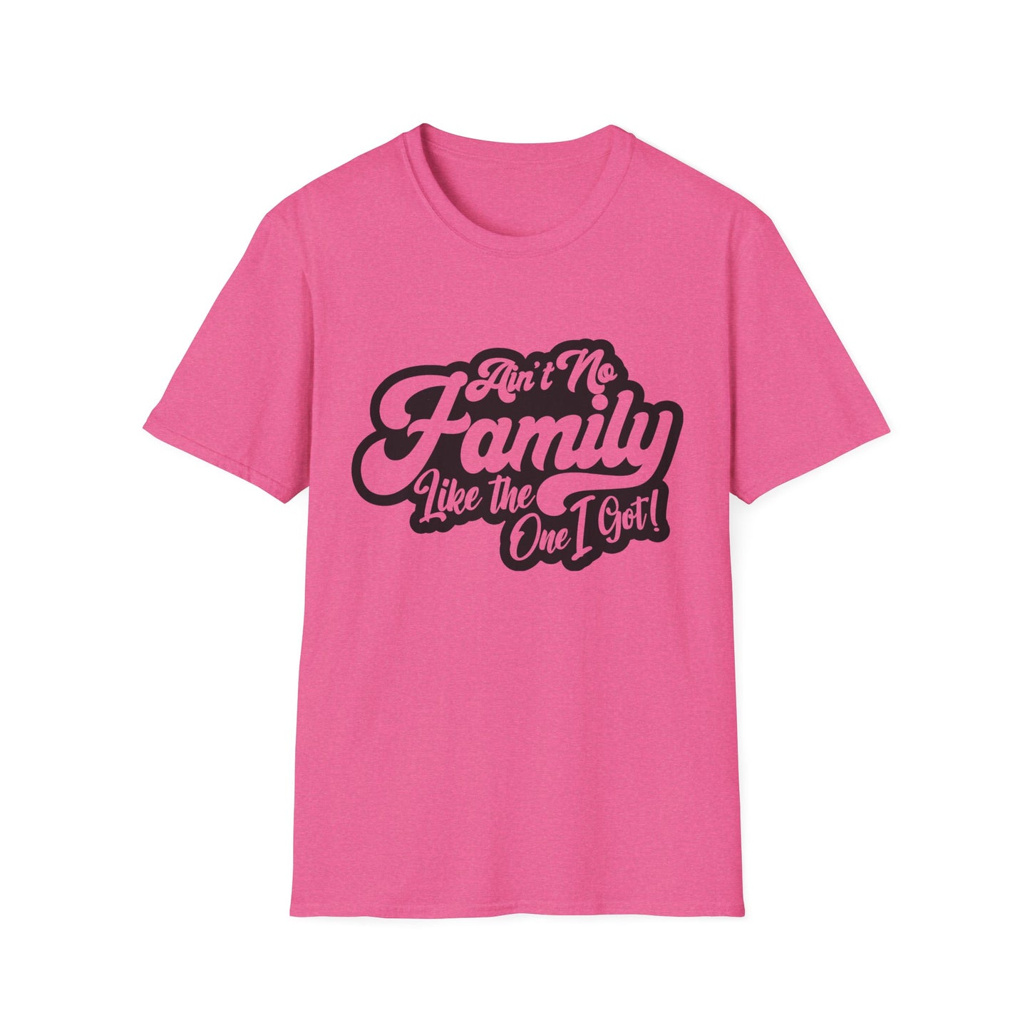 Ain't No Family Like the One I Got Softstyle T-Shirt