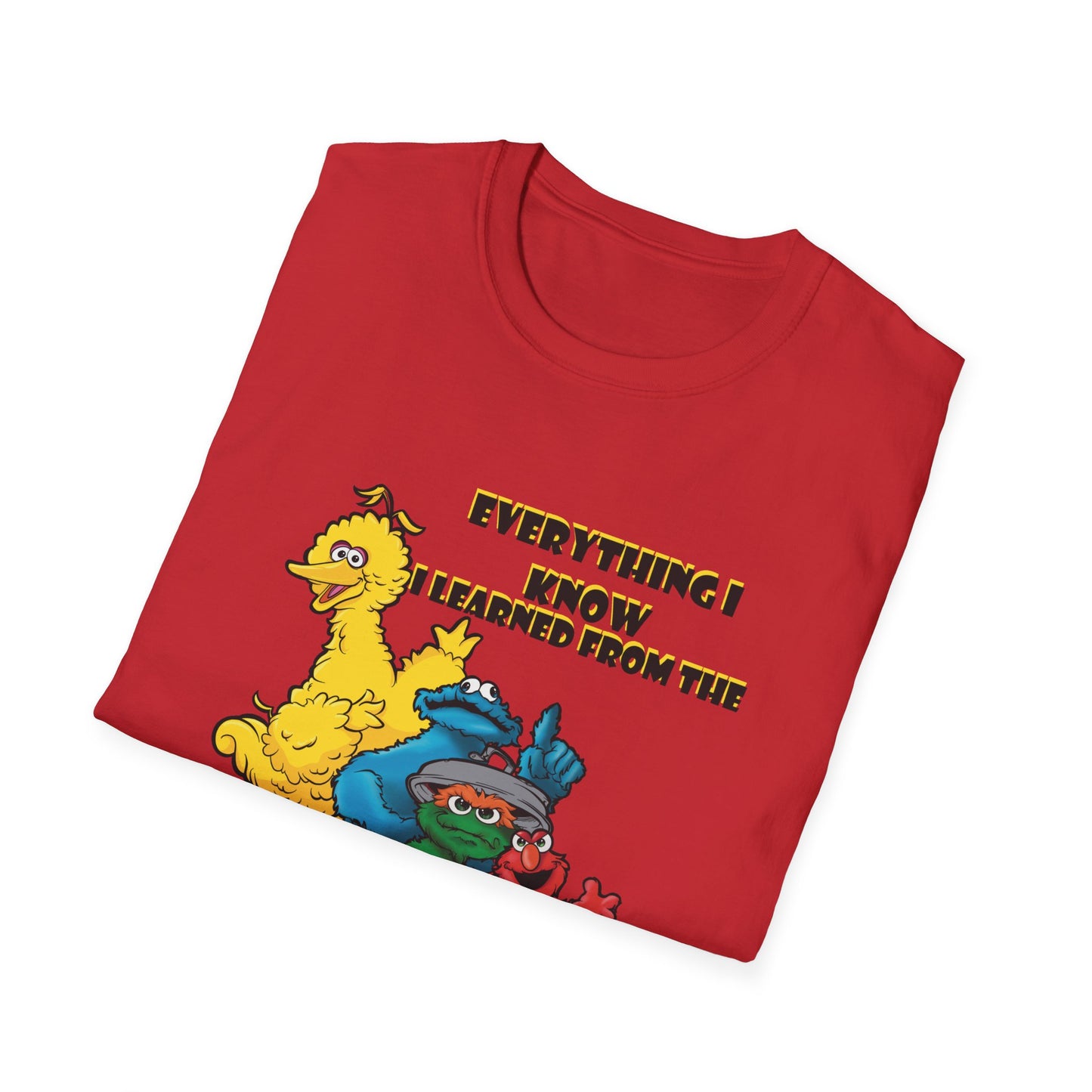 Everything I know I Learned From the Street Unisex Softstyle T-Shirt